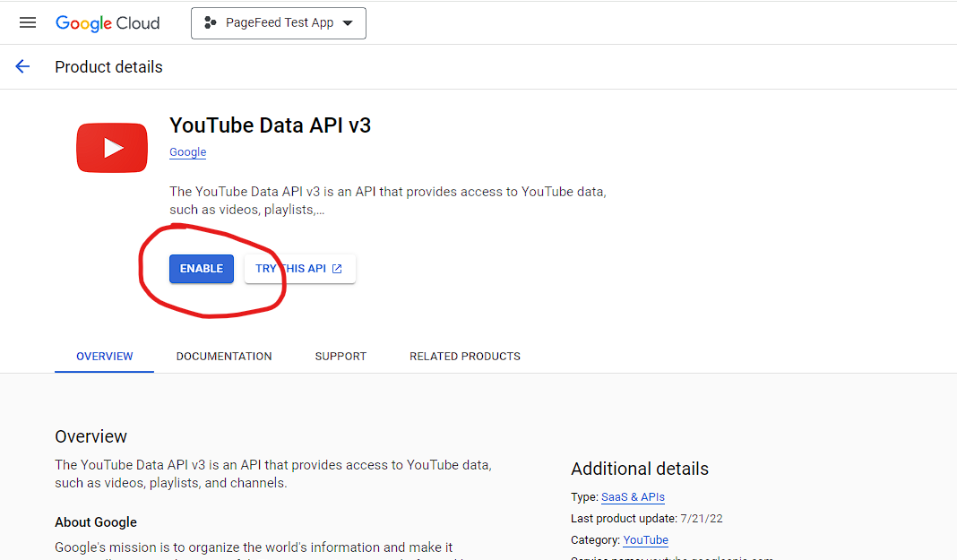 Google Enable API
