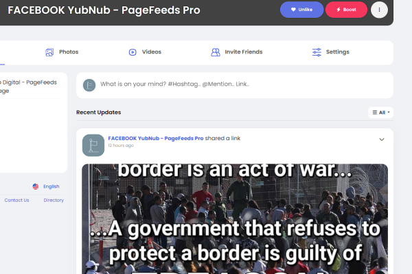 PageFeeds Pro! w/ SocialSync for Sngine - Image 7