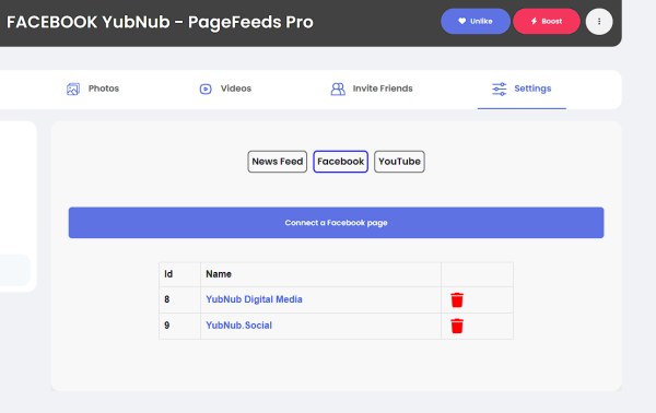 PageFeeds Pro! w/ SocialSync for Sngine - Image 6